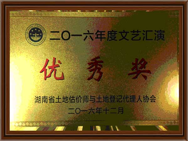 公司榮譽12 公司榮譽12