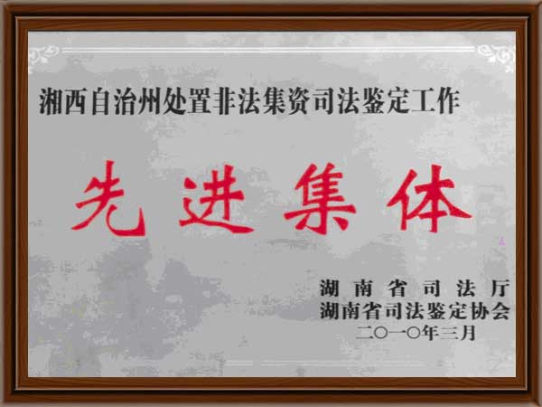 公司榮譽(yù)11 公司榮譽(yù)11